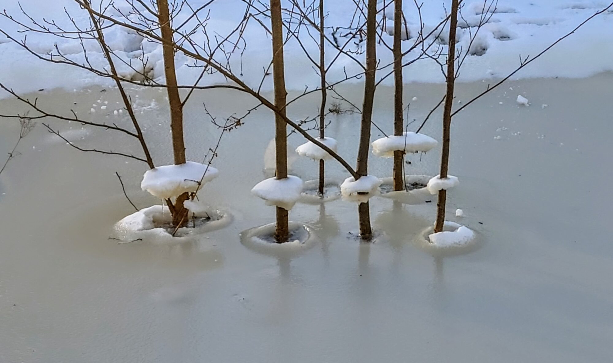 Valokuvaaja: Kati Westerlund