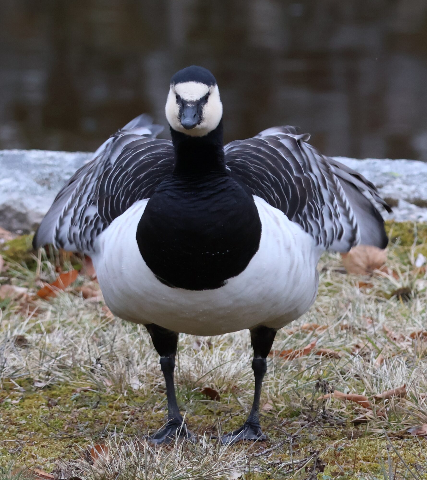 Valokuvaaja: Hanna Rönty Valokuvaaja: Hanna Rönty