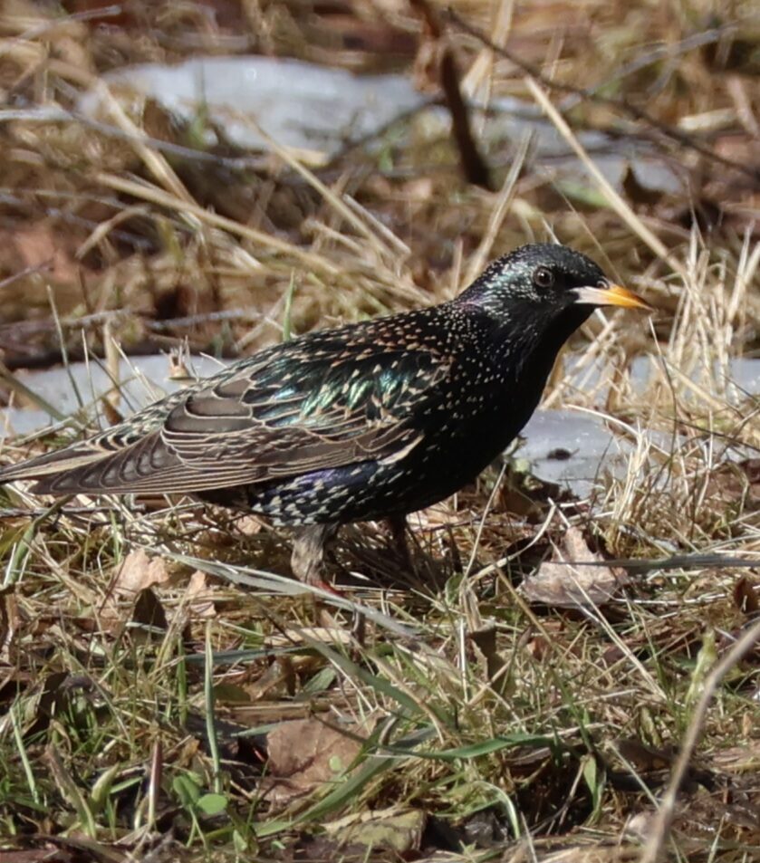 Valokuvaaja: Hanna Rönty