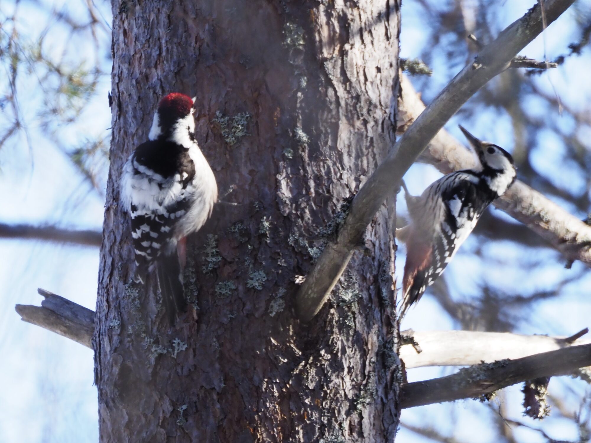 Valokuvaaja: Annikki Kärkkäinen