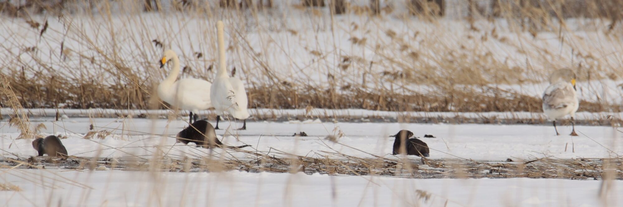 Valokuvaaja: Kaarina Heiskanen