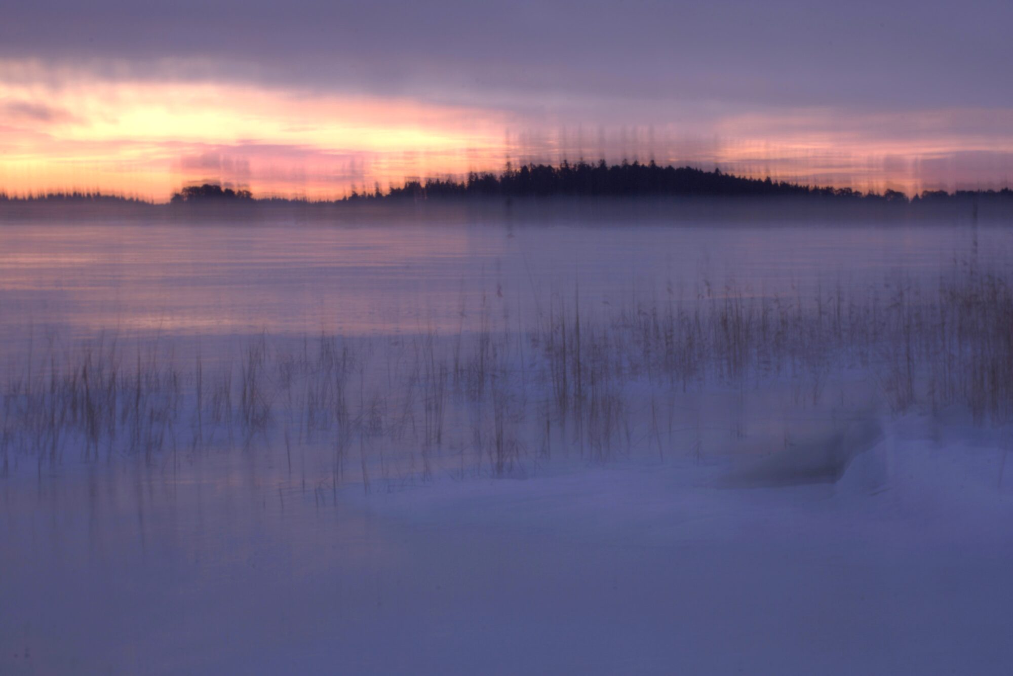 Valokuvaaja: Armi Järvinen