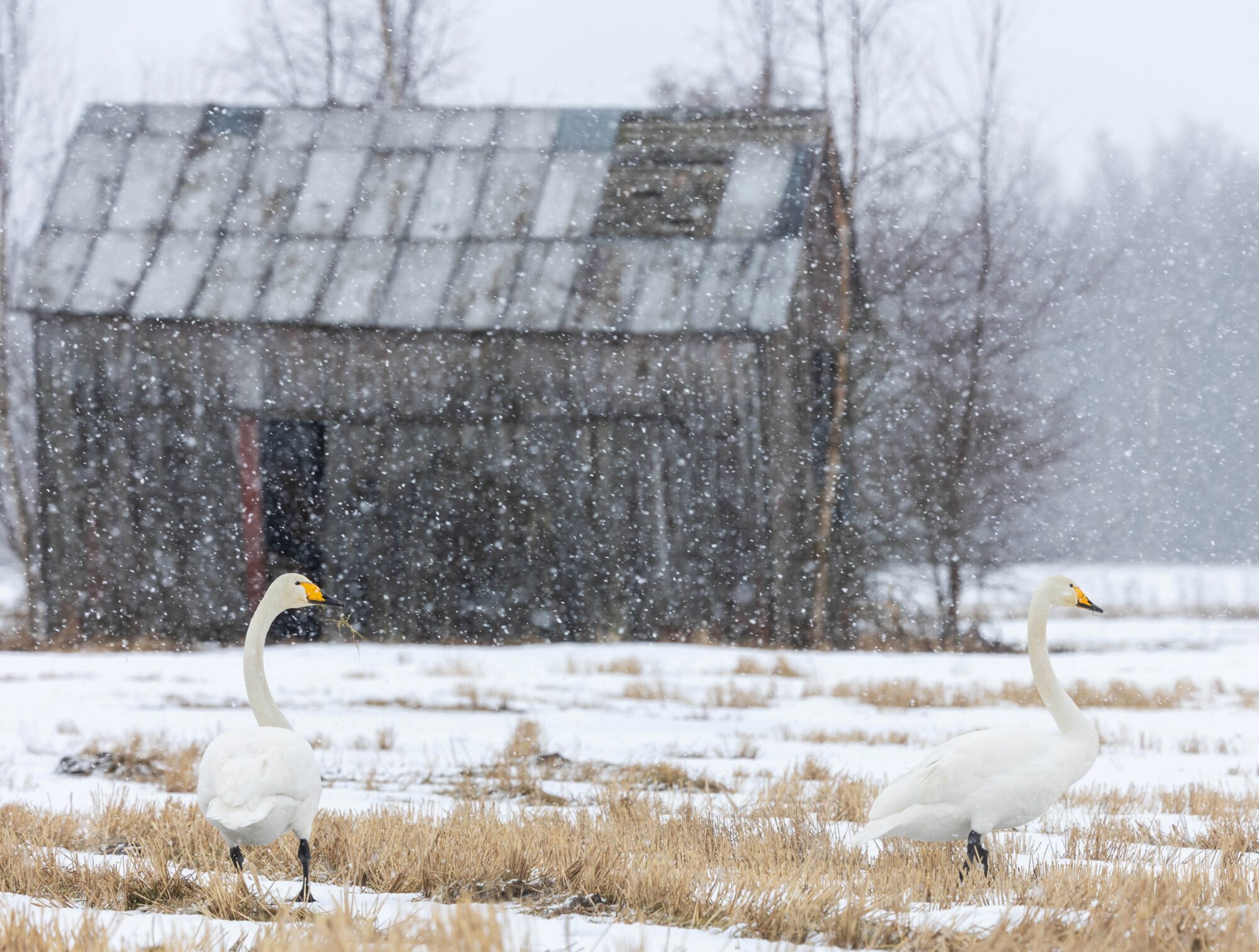 Valokuvaaja: Anne keskivinkka