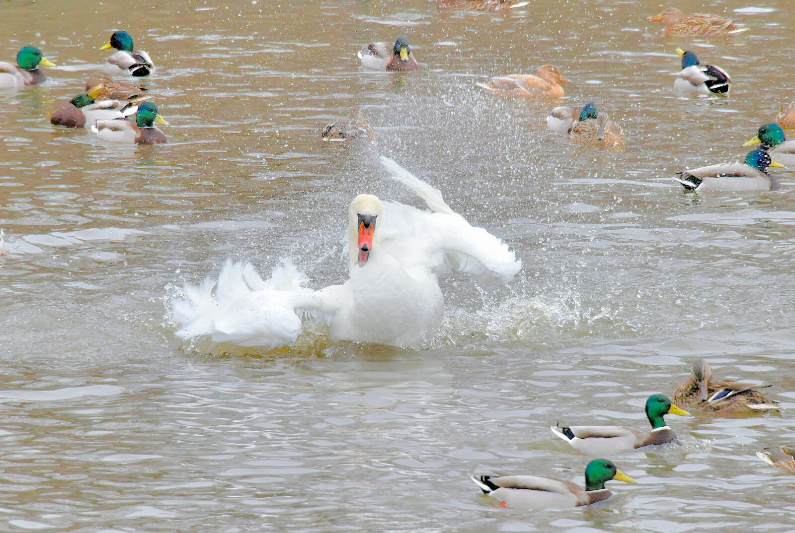 Valokuvaaja: Reijo Juurinen