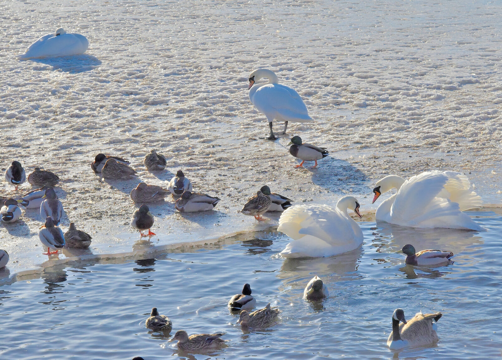 Valokuvaaja: Reijo Juurinen