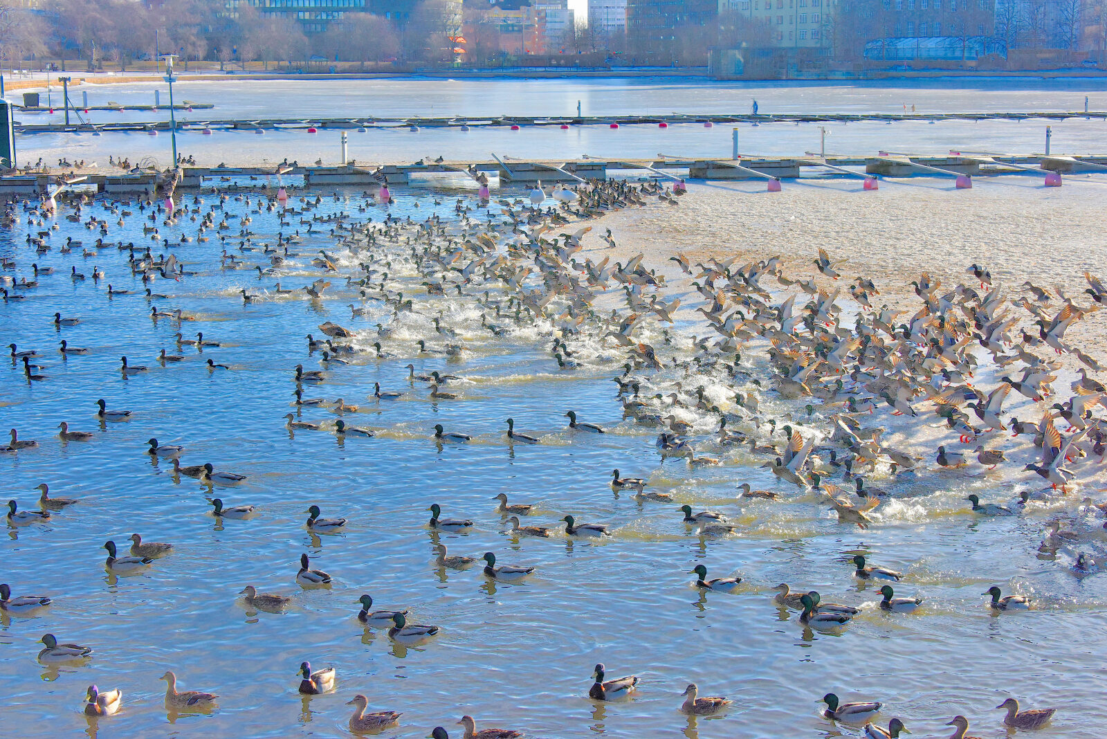 Valokuvaaja: Reijo Juurinen