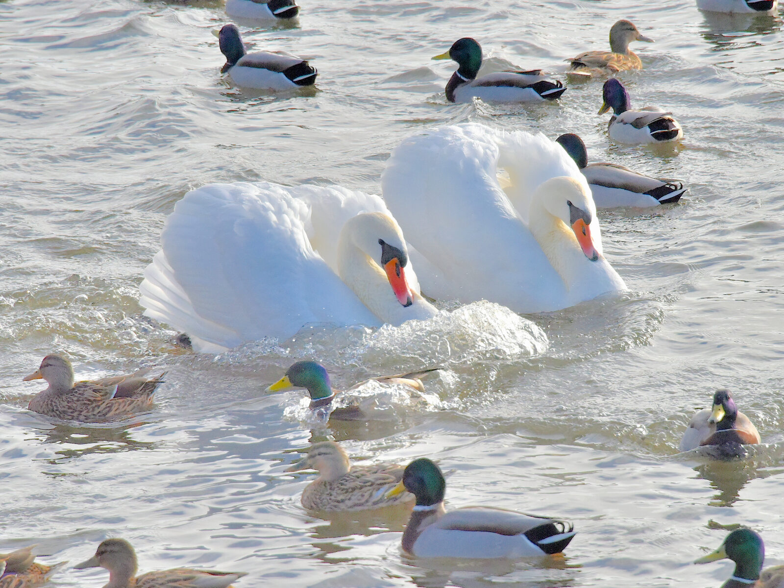 Valokuvaaja: Reijo Juurinen