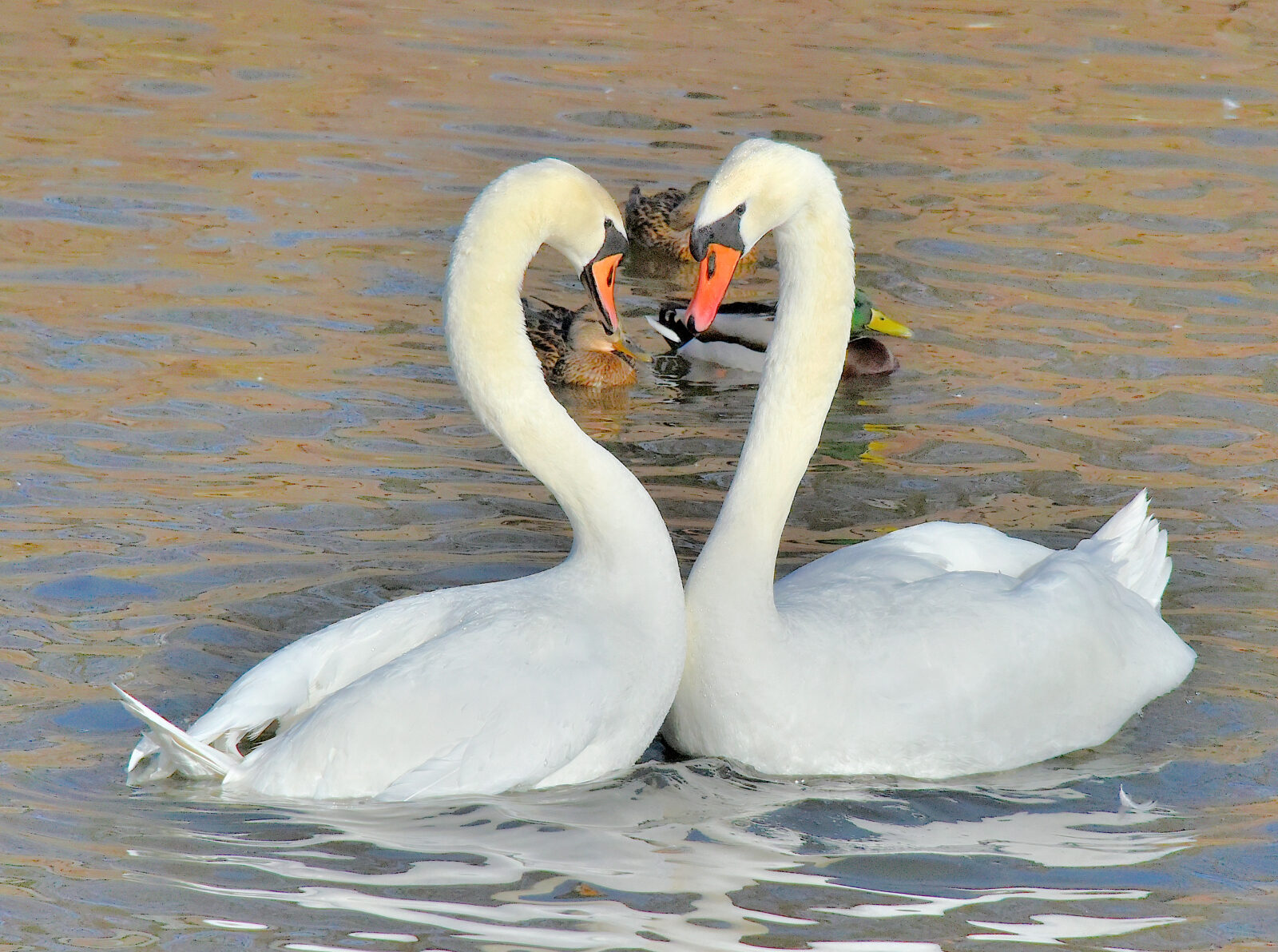 Valokuvaaja: Reijo Juurinen