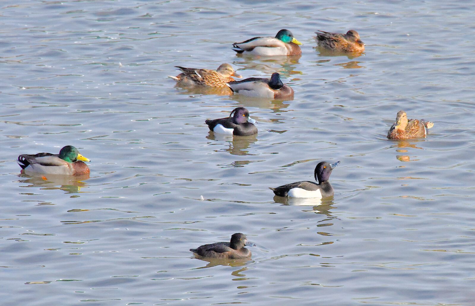 Valokuvaaja: Reijo Juurinen