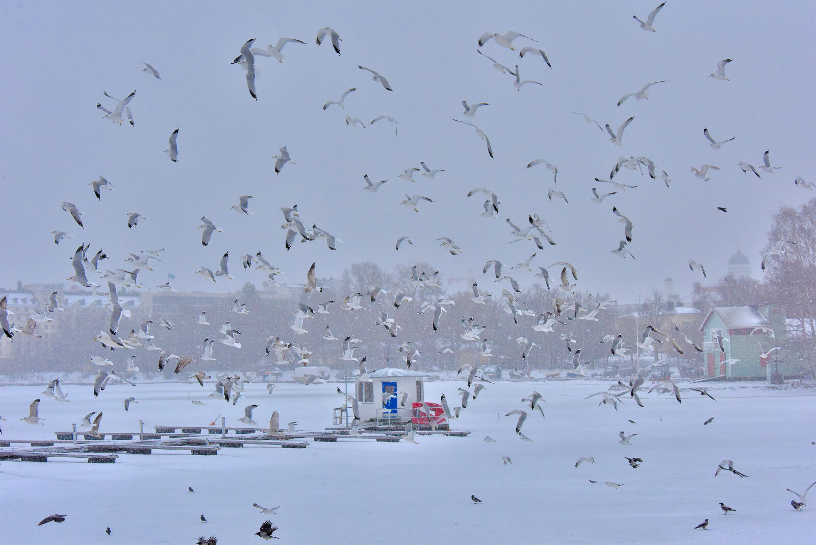 Valokuvaaja: Reijo Juurinen