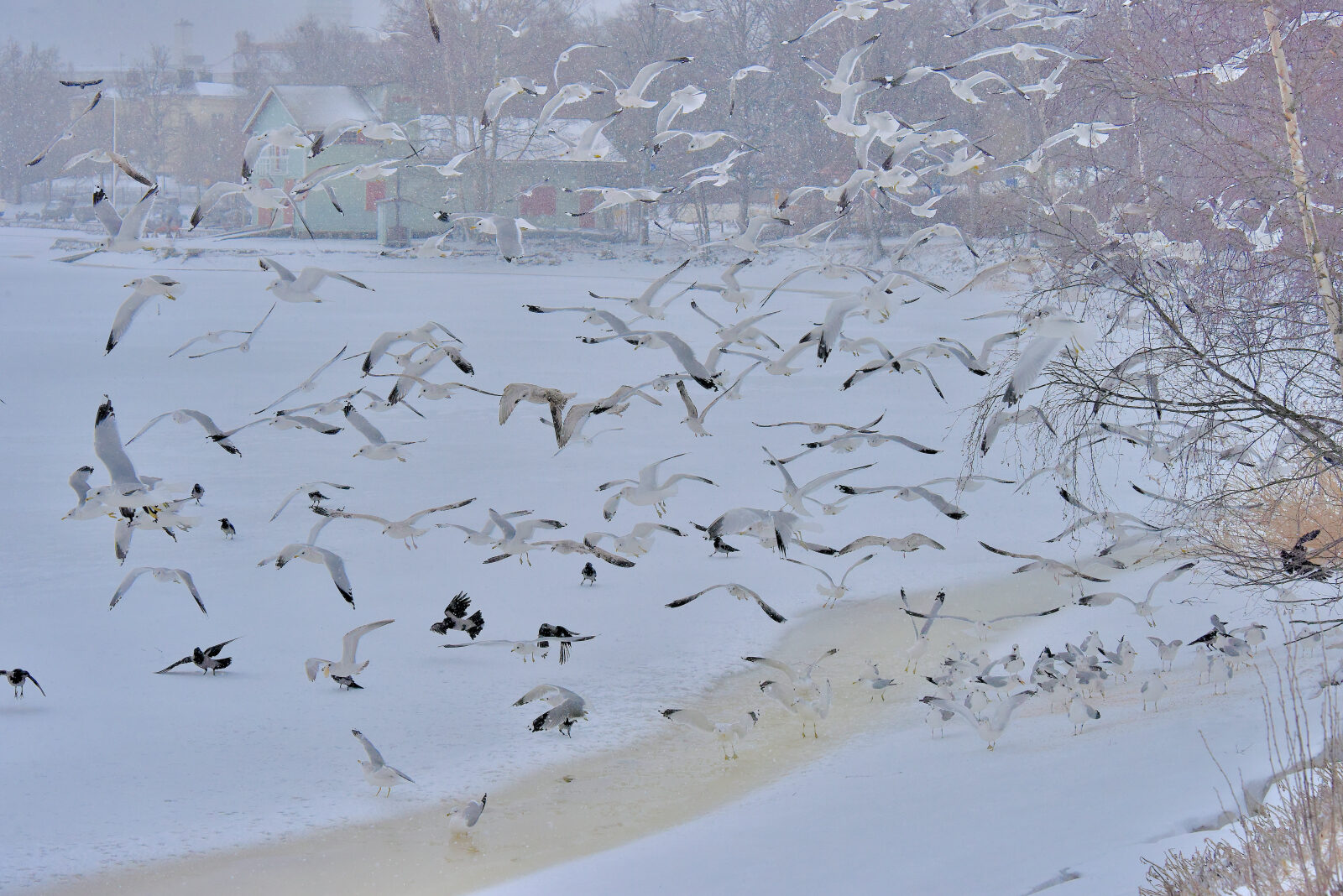 Valokuvaaja: Reijo Juurinen