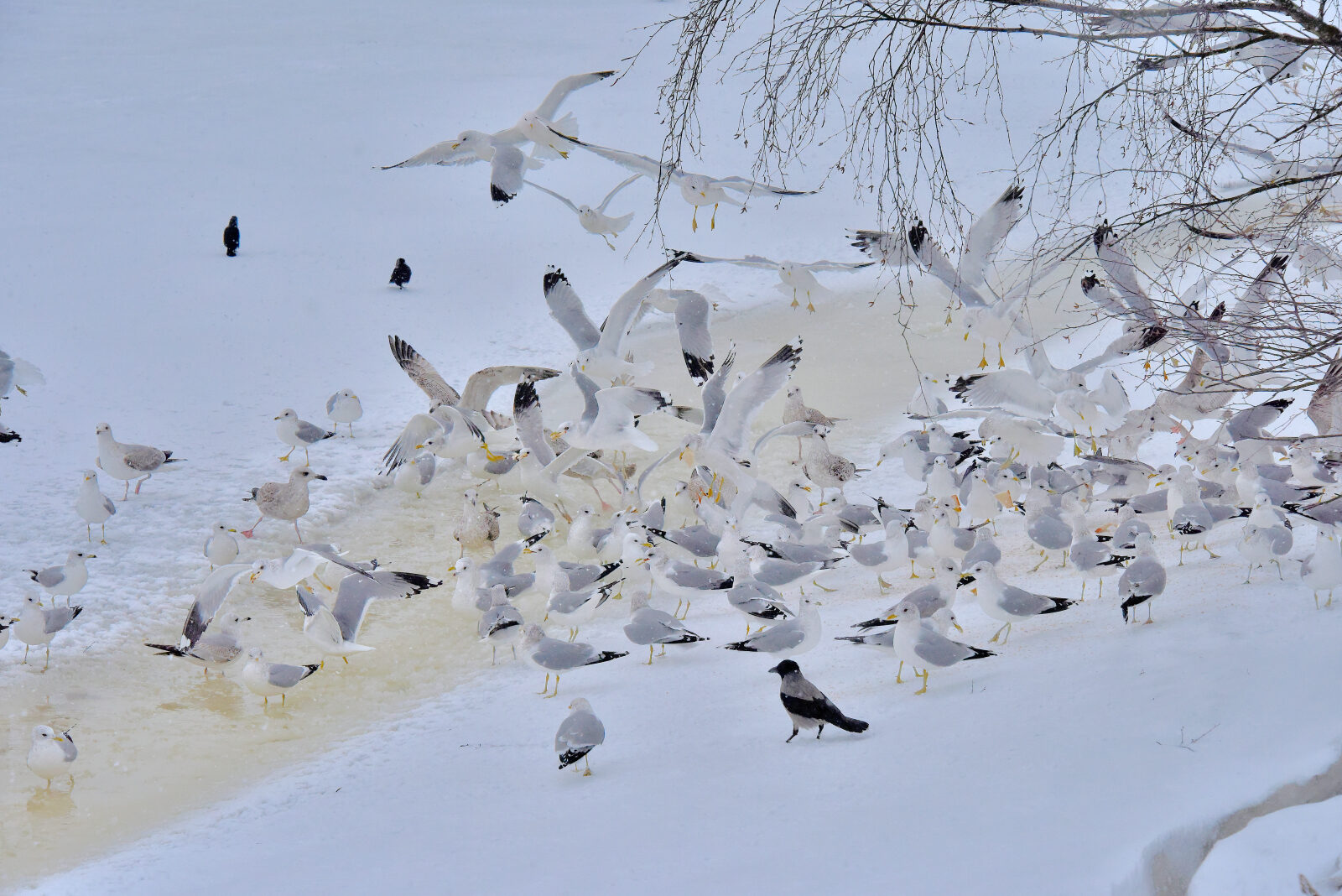 Valokuvaaja: Reijo Juurinen