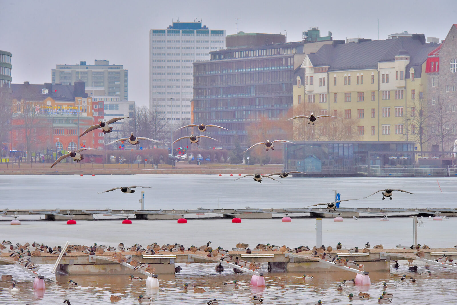 Valokuvaaja: Reijo Juurinen