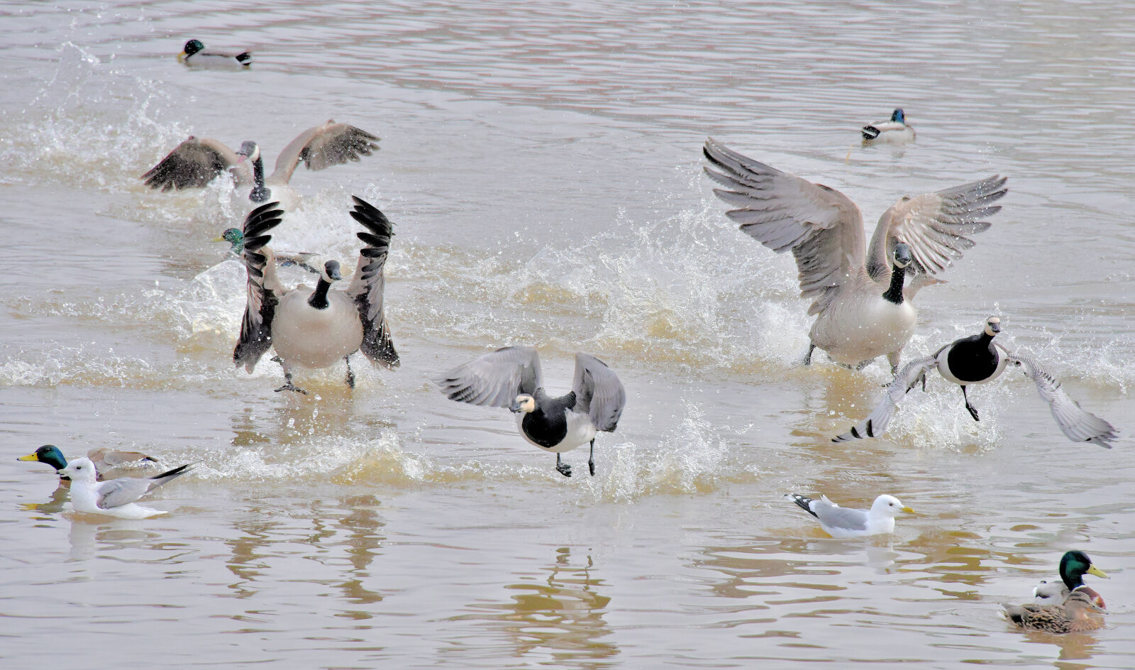 Valokuvaaja: Reijo Juurinen