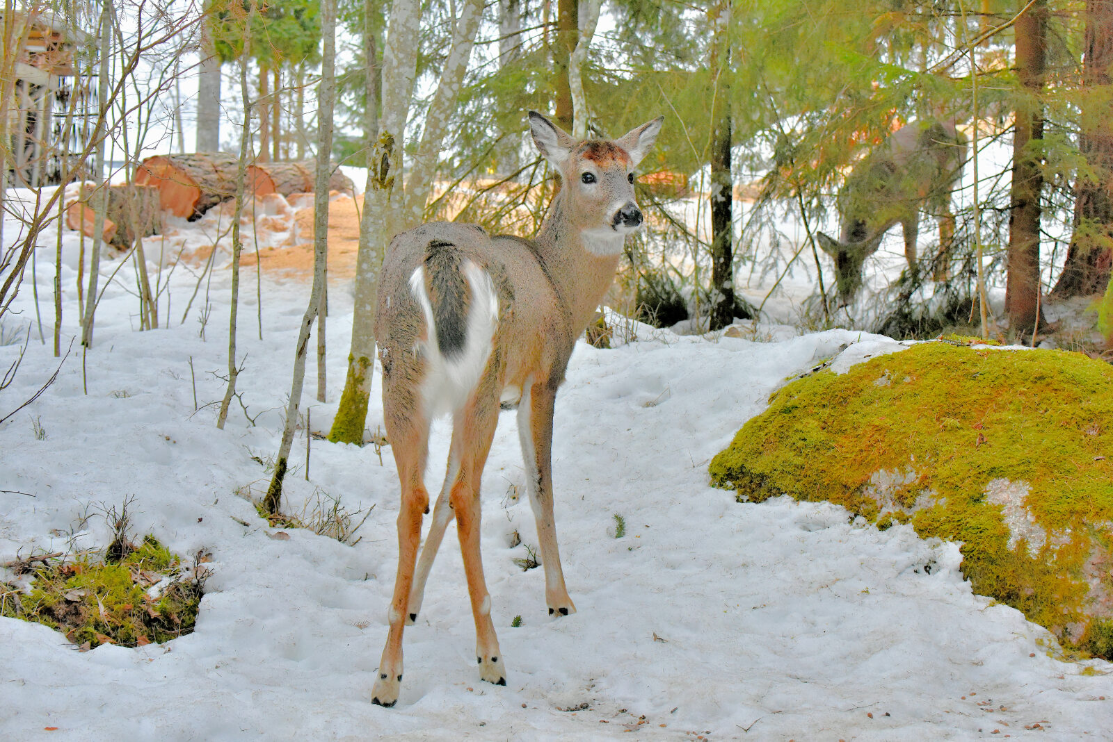 Valokuvaaja: Reijo Juurinen Valokuvaaja: Reijo Juurinen