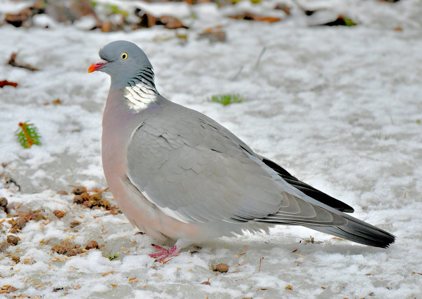 Valokuvaaja: Reijo Juurinen