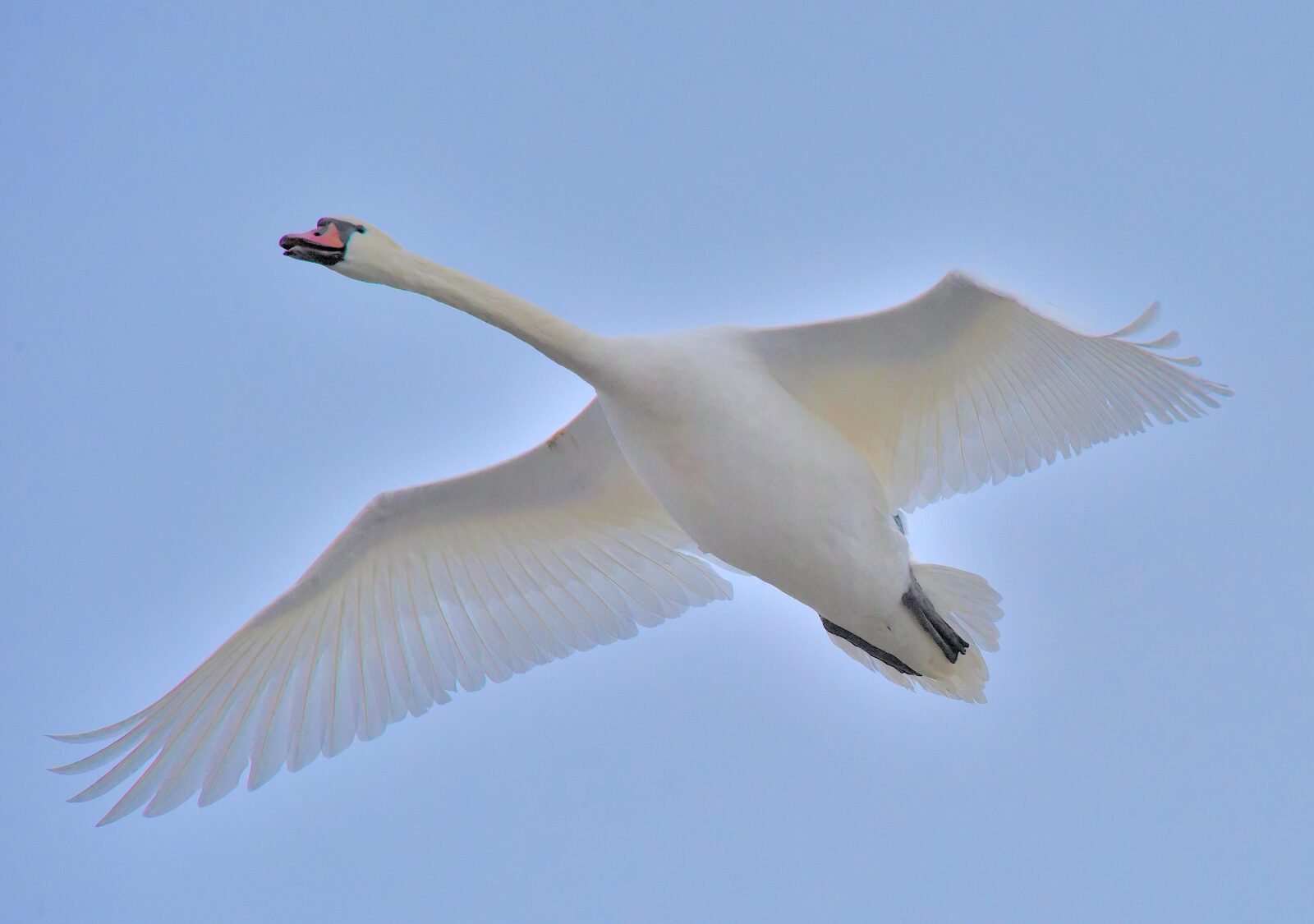 Valokuvaaja: Reijo Juurinen