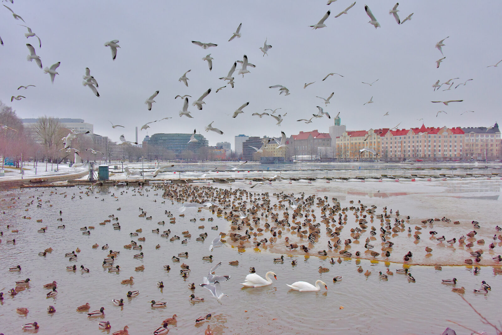 Valokuvaaja: Reijo Juurinen Valokuvaaja: Reijo Juurinen