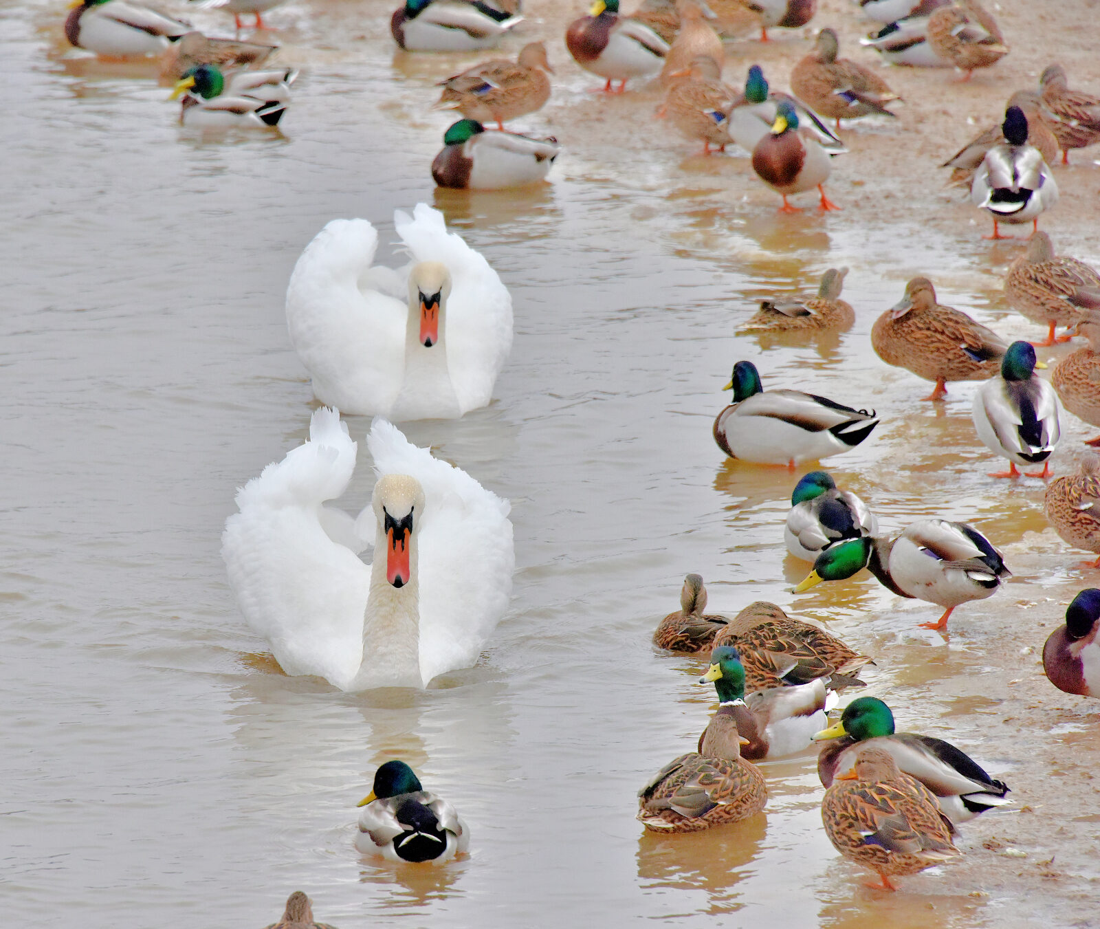 Valokuvaaja: Reijo Juurinen