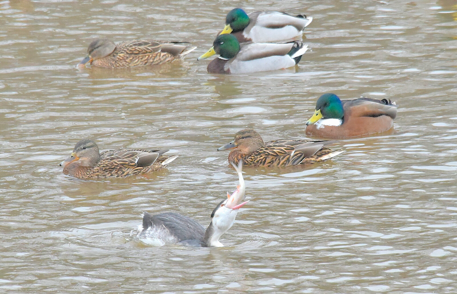 Valokuvaaja: Reijo Juurinen