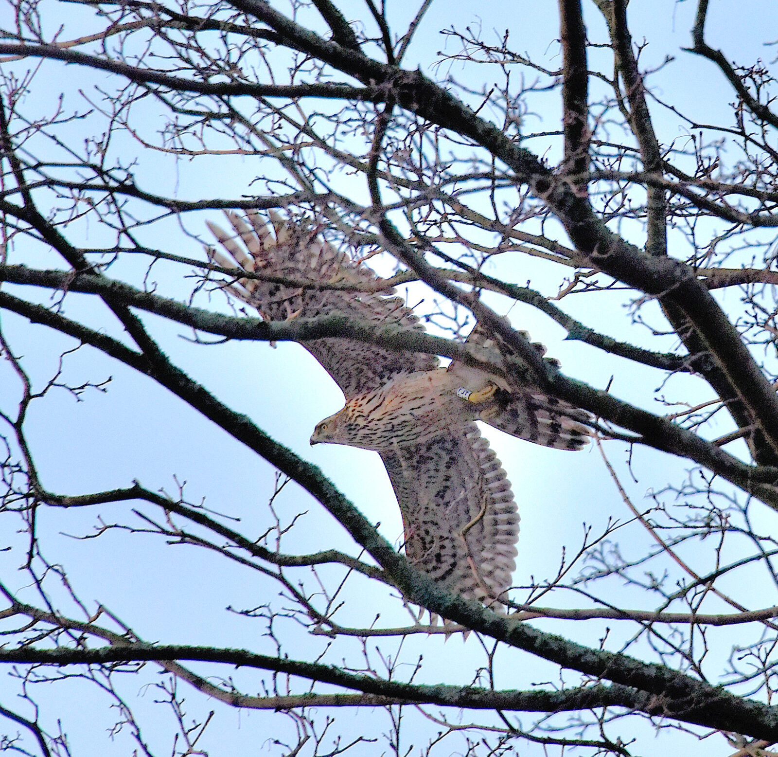 Valokuvaaja: Reijo Juurinen