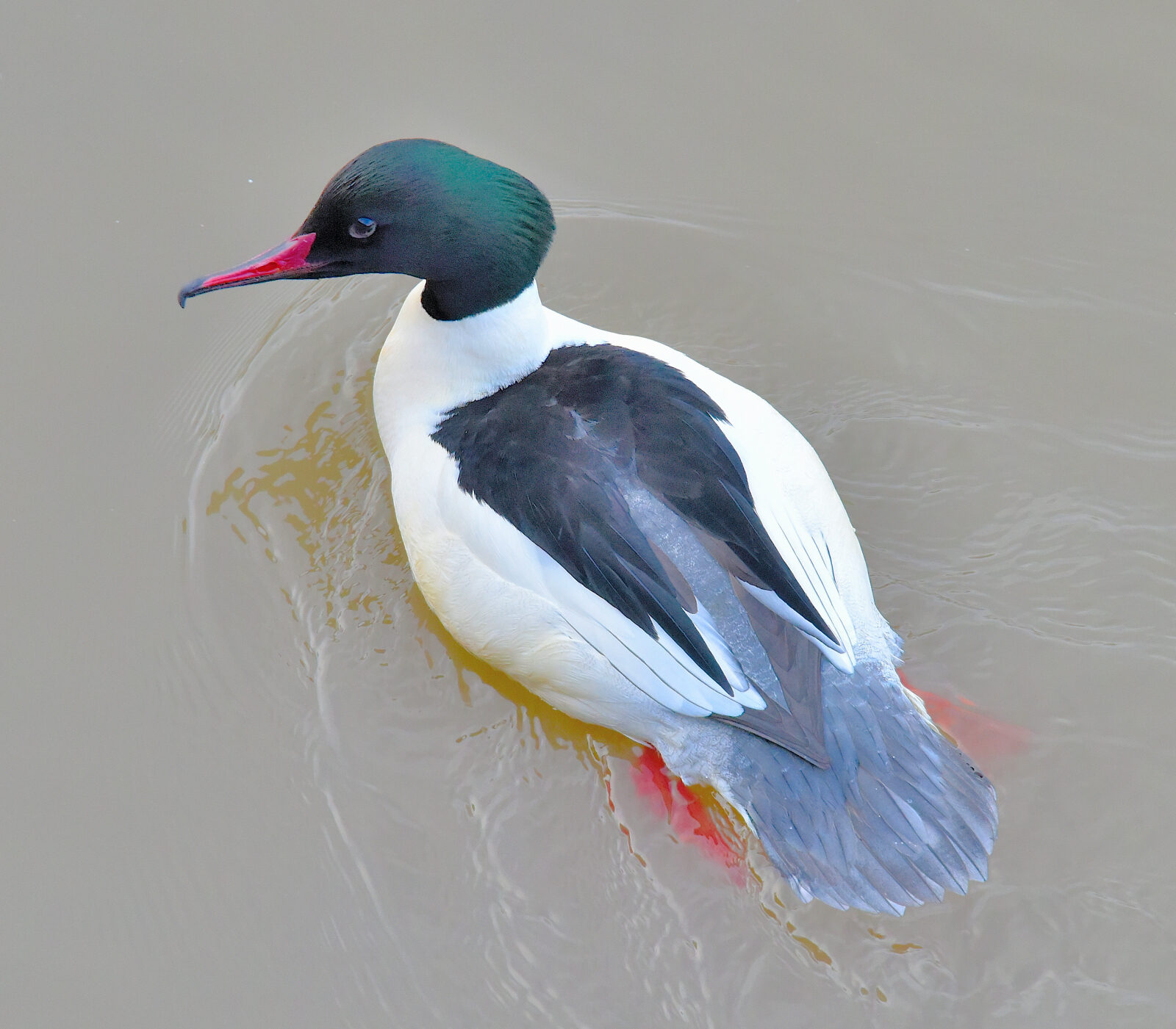 Valokuvaaja: Reijo Juurinen