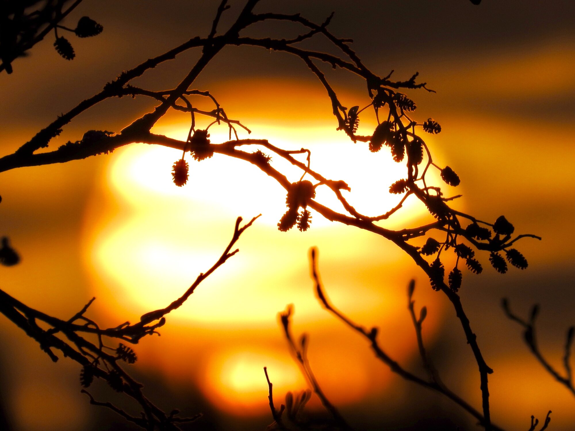 Valokuvaaja: Juhani Peltonen