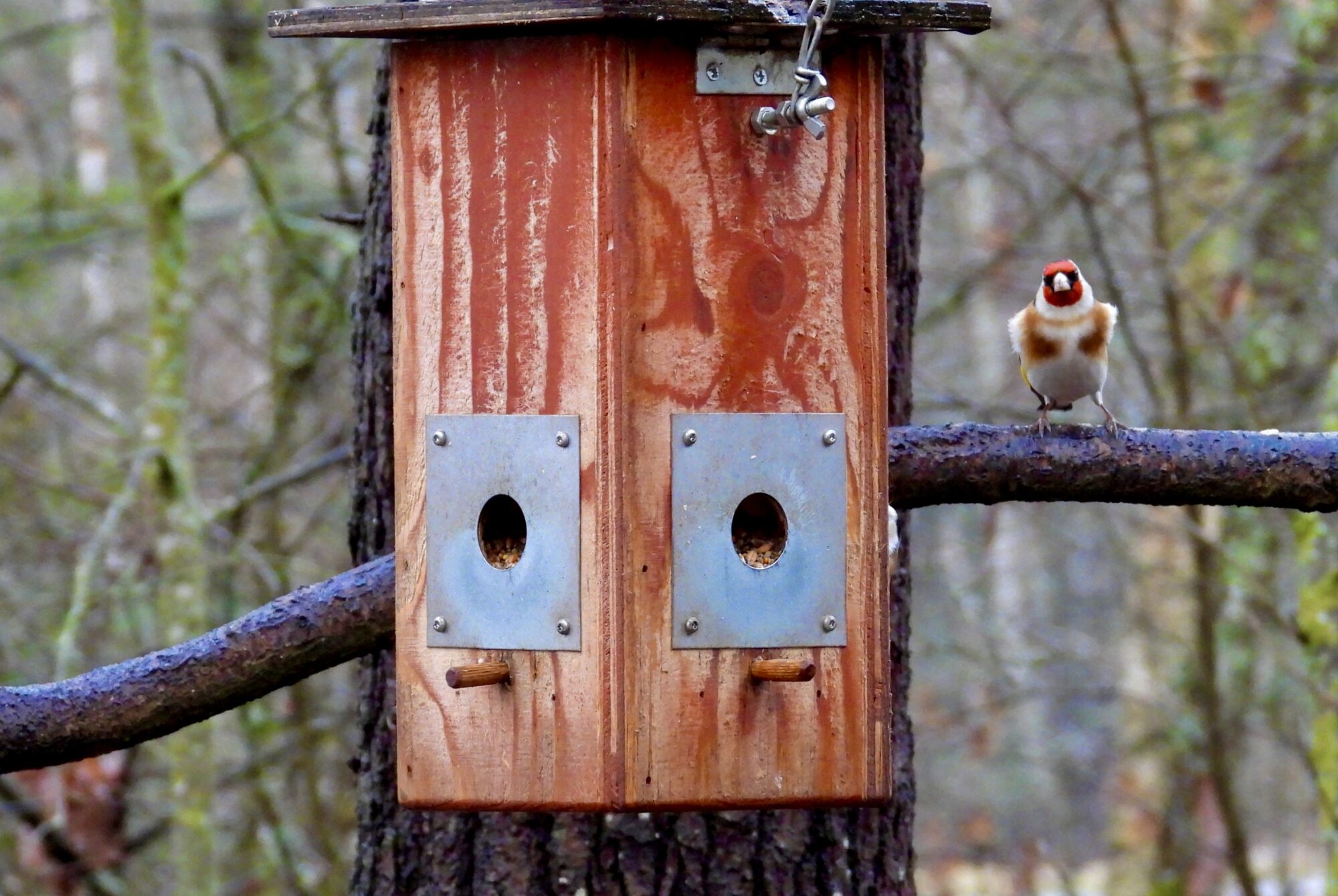 Valokuvaaja: Juhani Peltonen