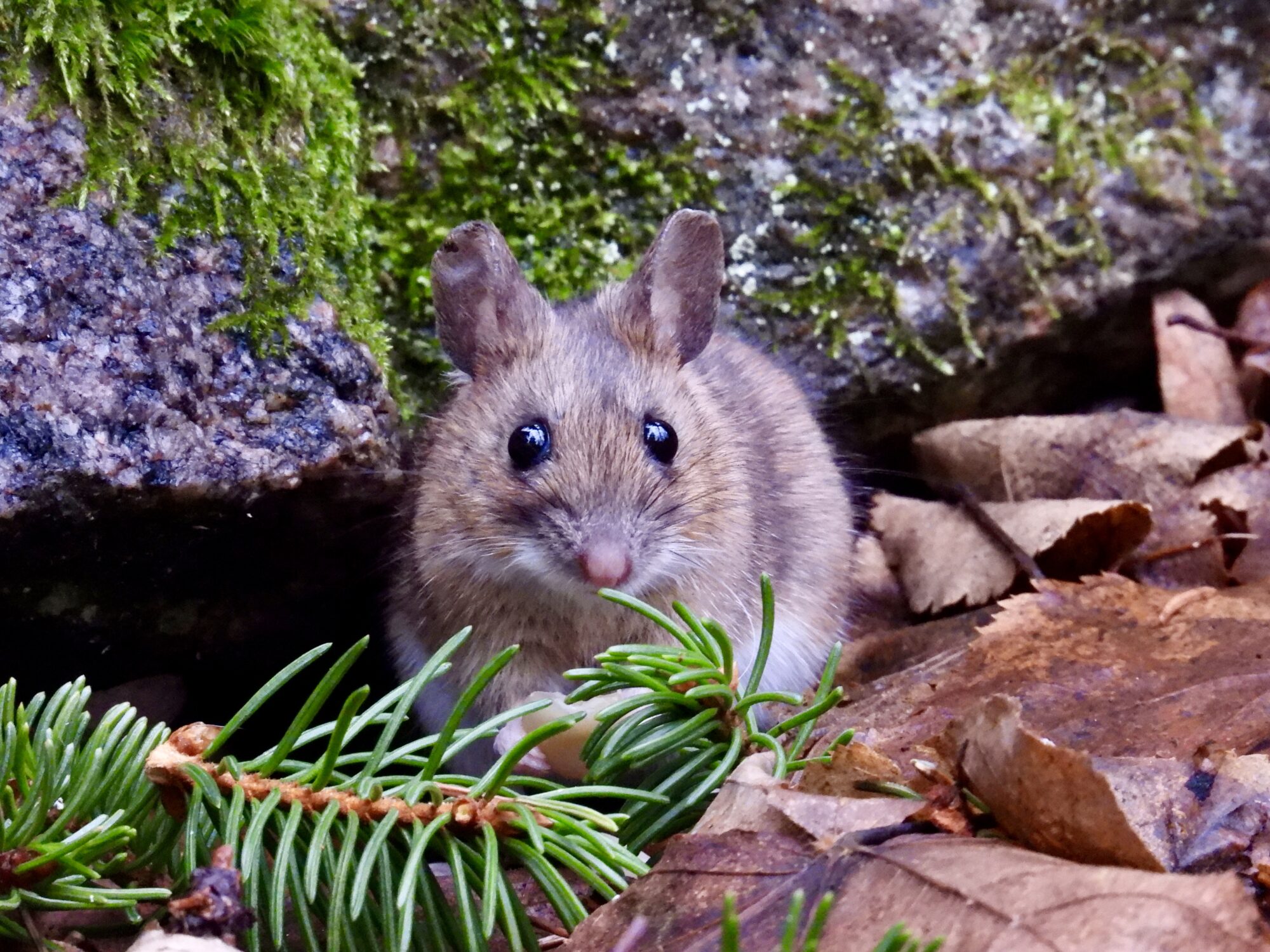 Valokuvaaja: Juhani Peltonen