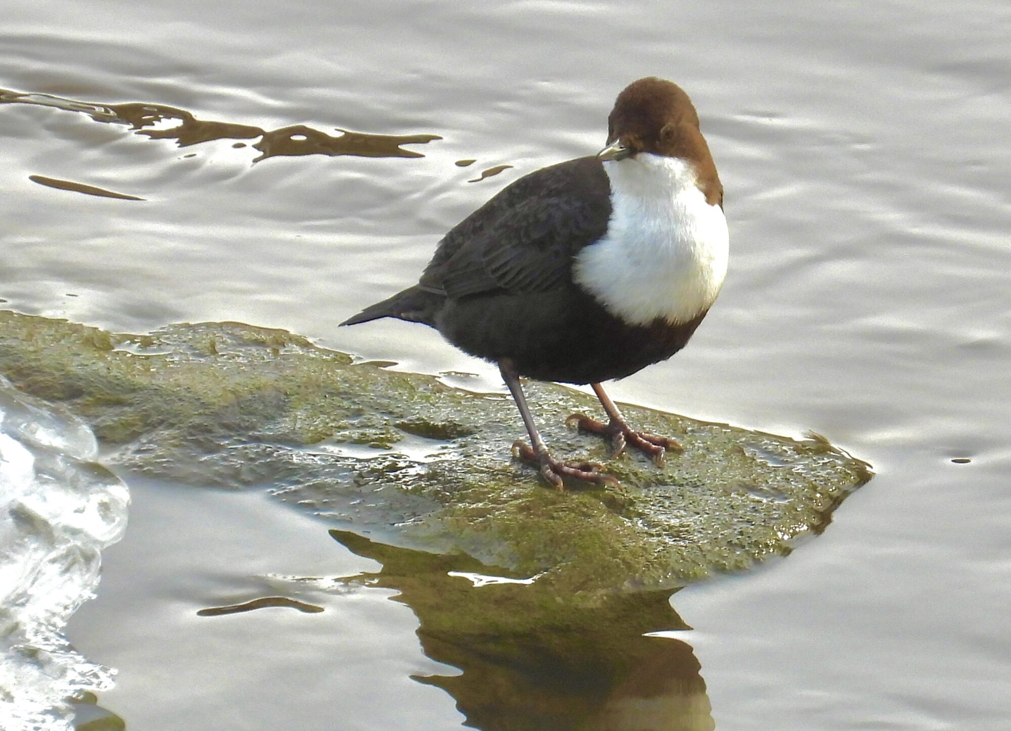 Valokuvaaja: Juhani Peltonen