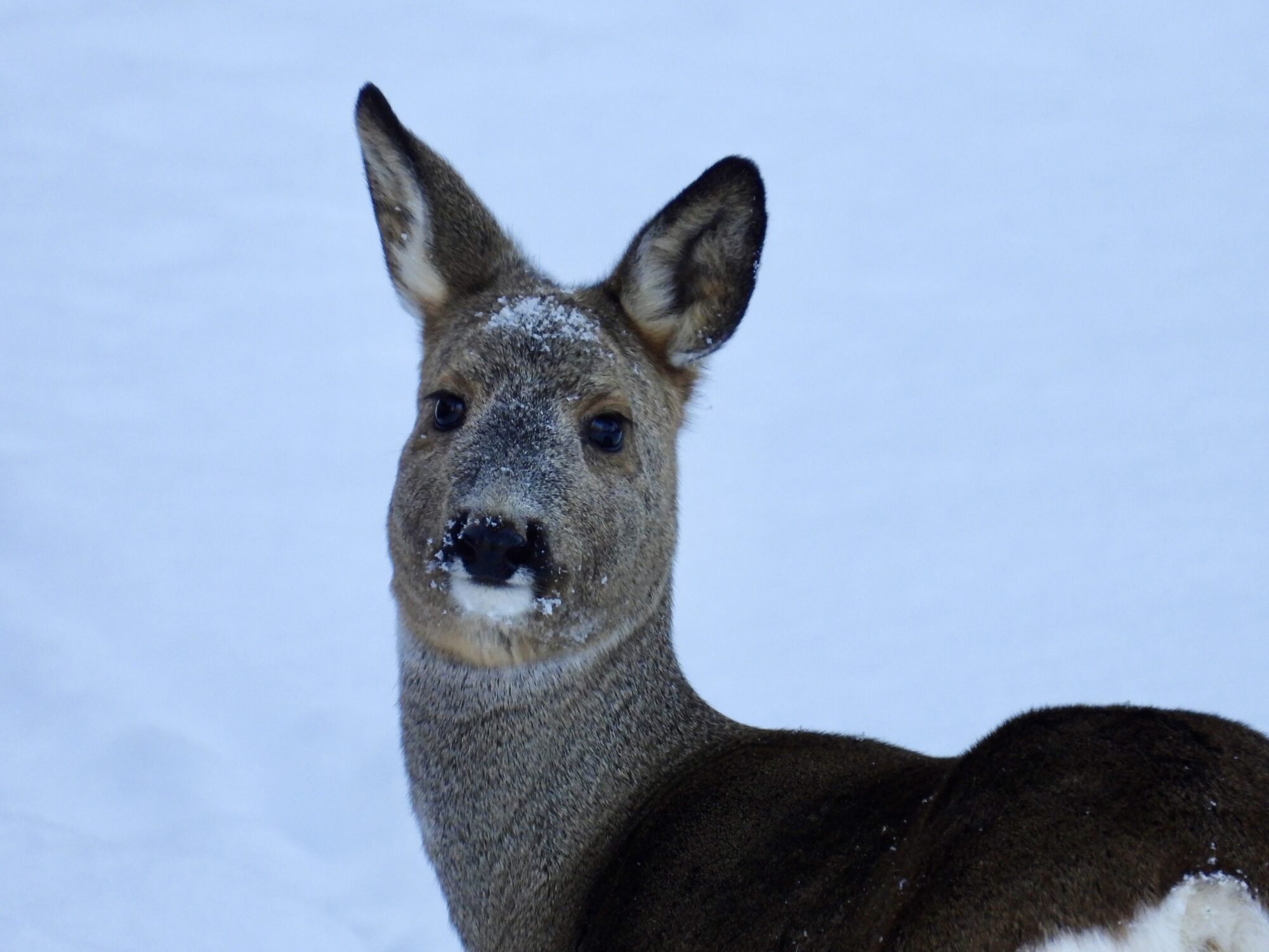 Valokuvaaja: Juhani Peltonen