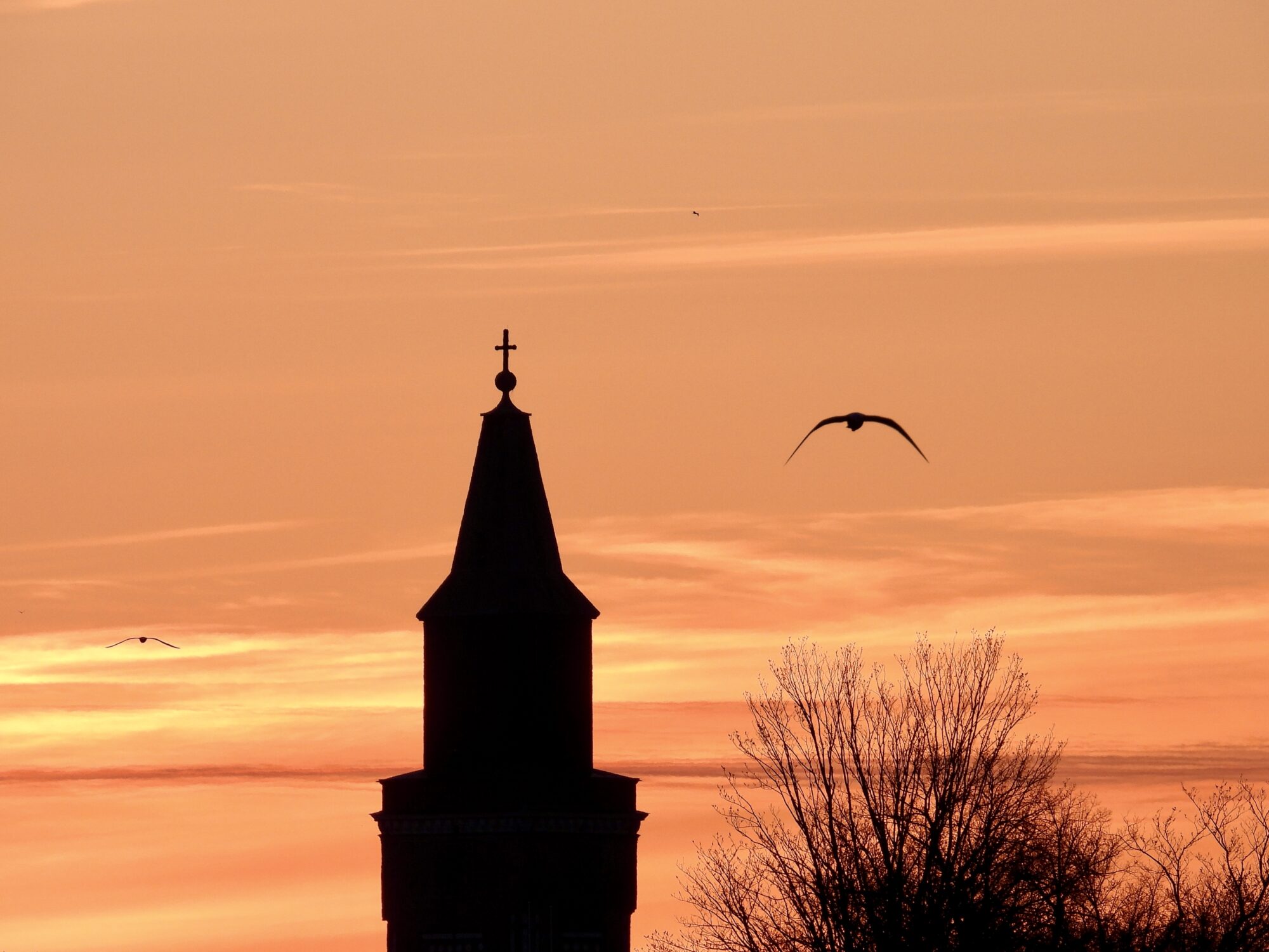 Valokuvaaja: Juhani Peltonen