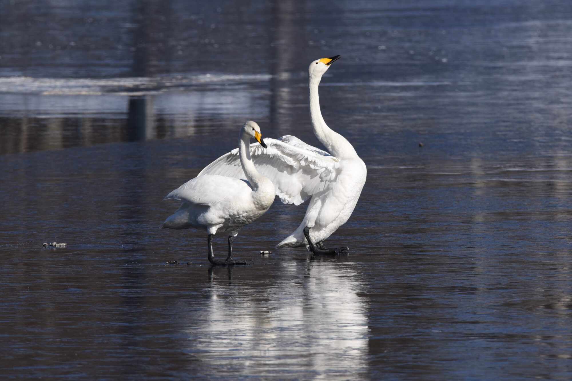 Valokuvaaja: Maarit Siitonen