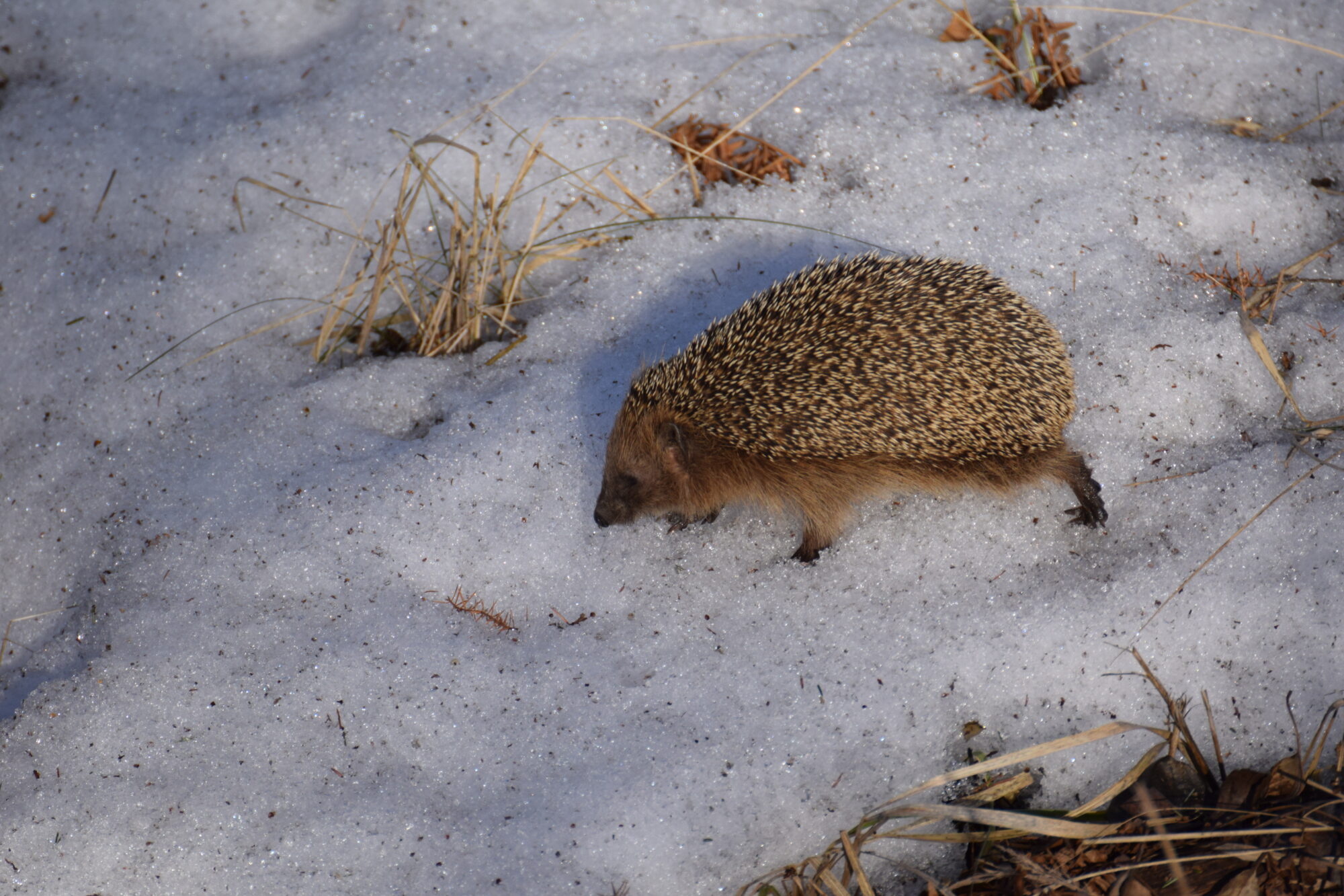 Valokuvaaja: Riitta Marjamäki