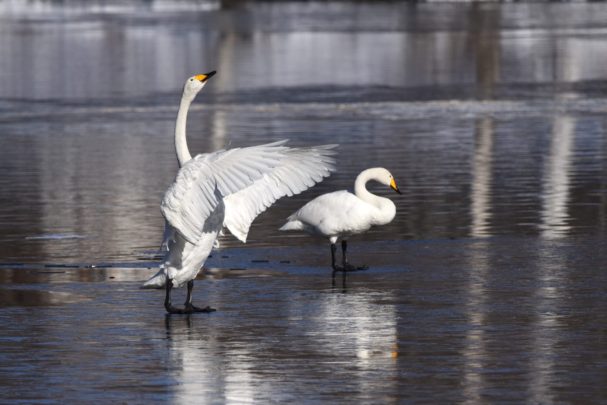 Valokuvaaja: Maarit Siitonen