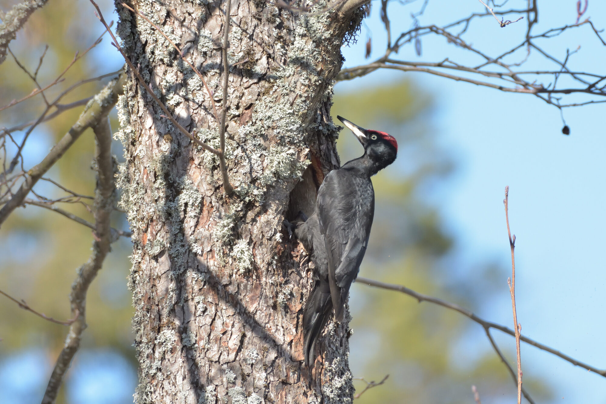 Valokuvaaja: Asko Heikkinen