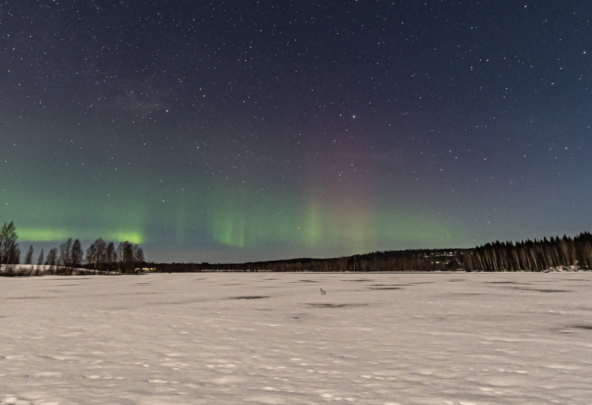 Valokuvaaja: Leena Rissanen