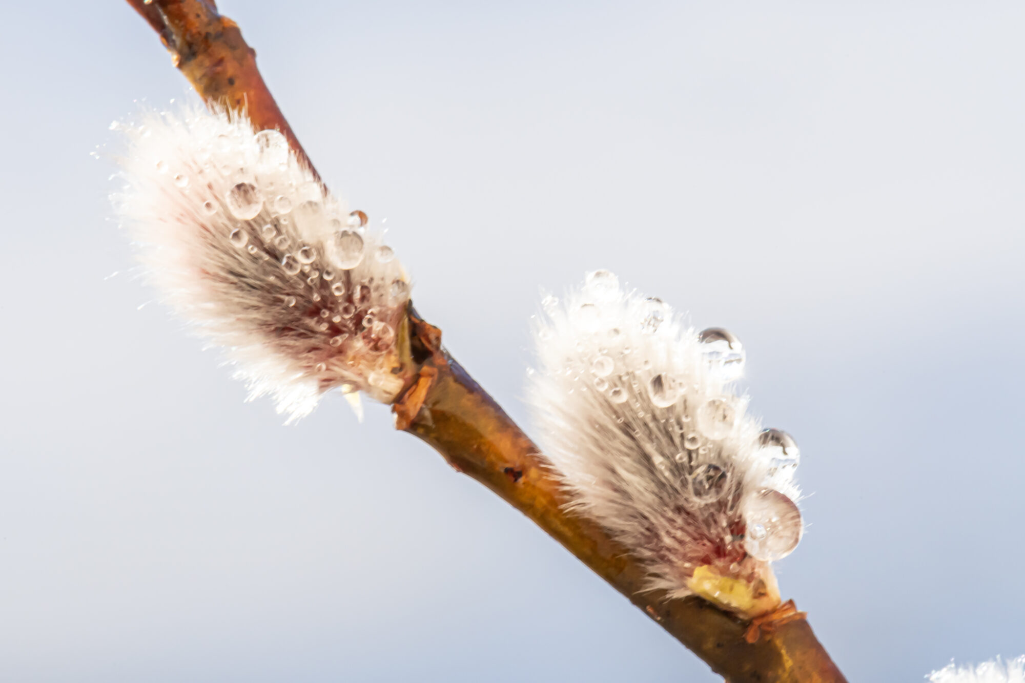 Valokuvaaja: Leena Rissanen