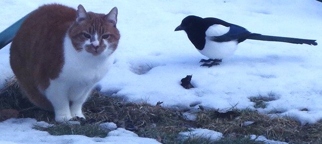 Valokuvaaja: Kaarina Heiskanen