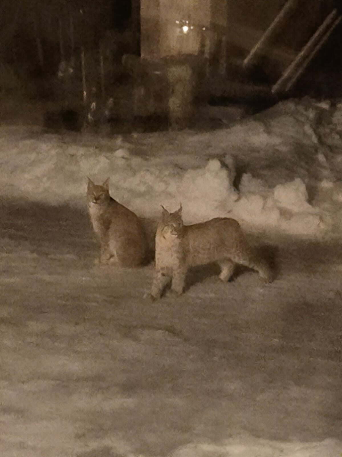 Valokuvaaja: Sari Nurmi