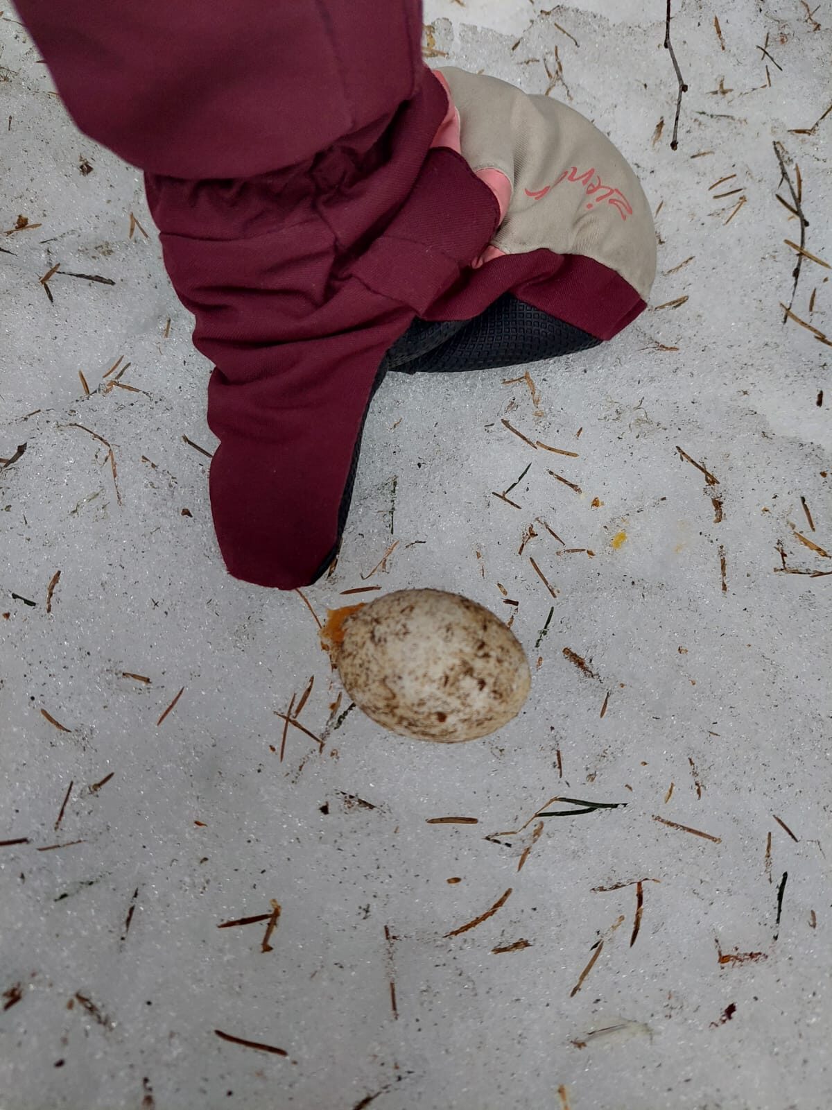 Valokuvaaja: Leena Outinen