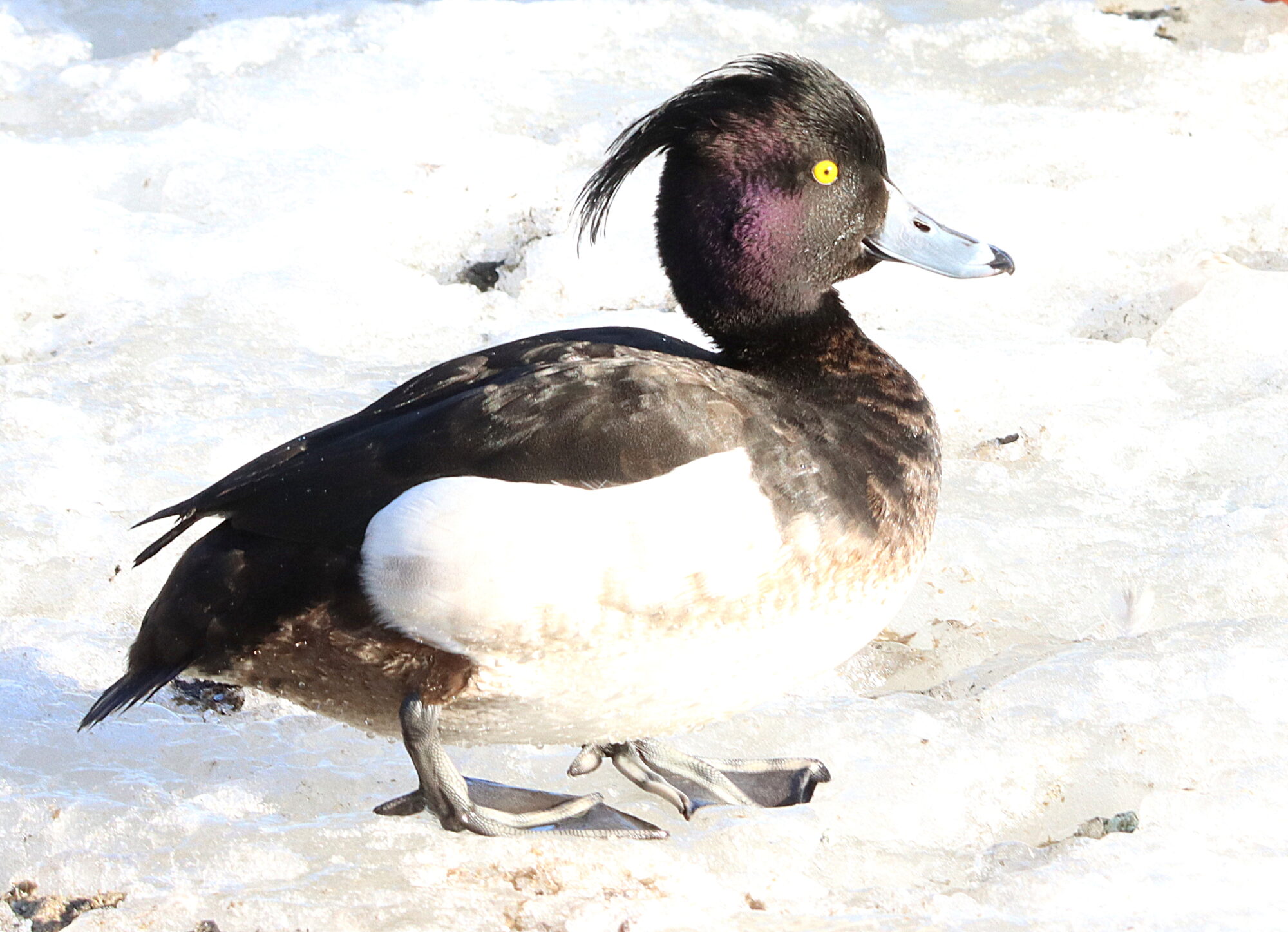 Valokuvaaja: Irja Lehtinen