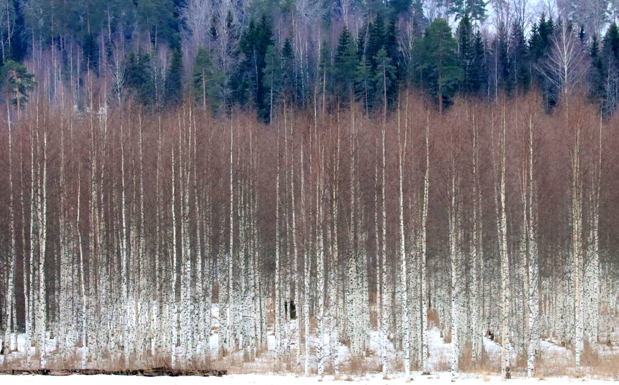 Valokuvaaja: Irja Lehtinen