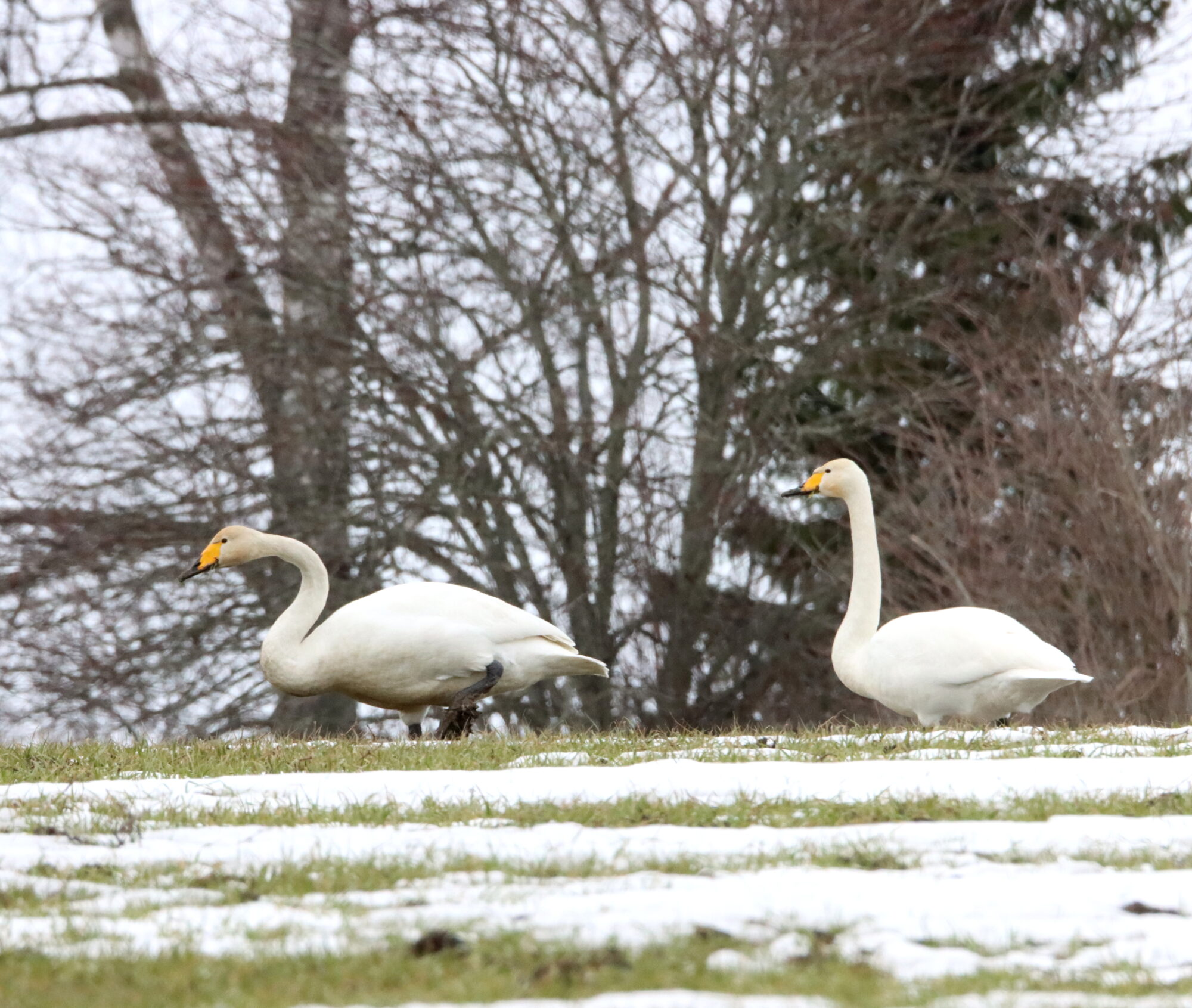 Valokuvaaja: Irja Lehtinen