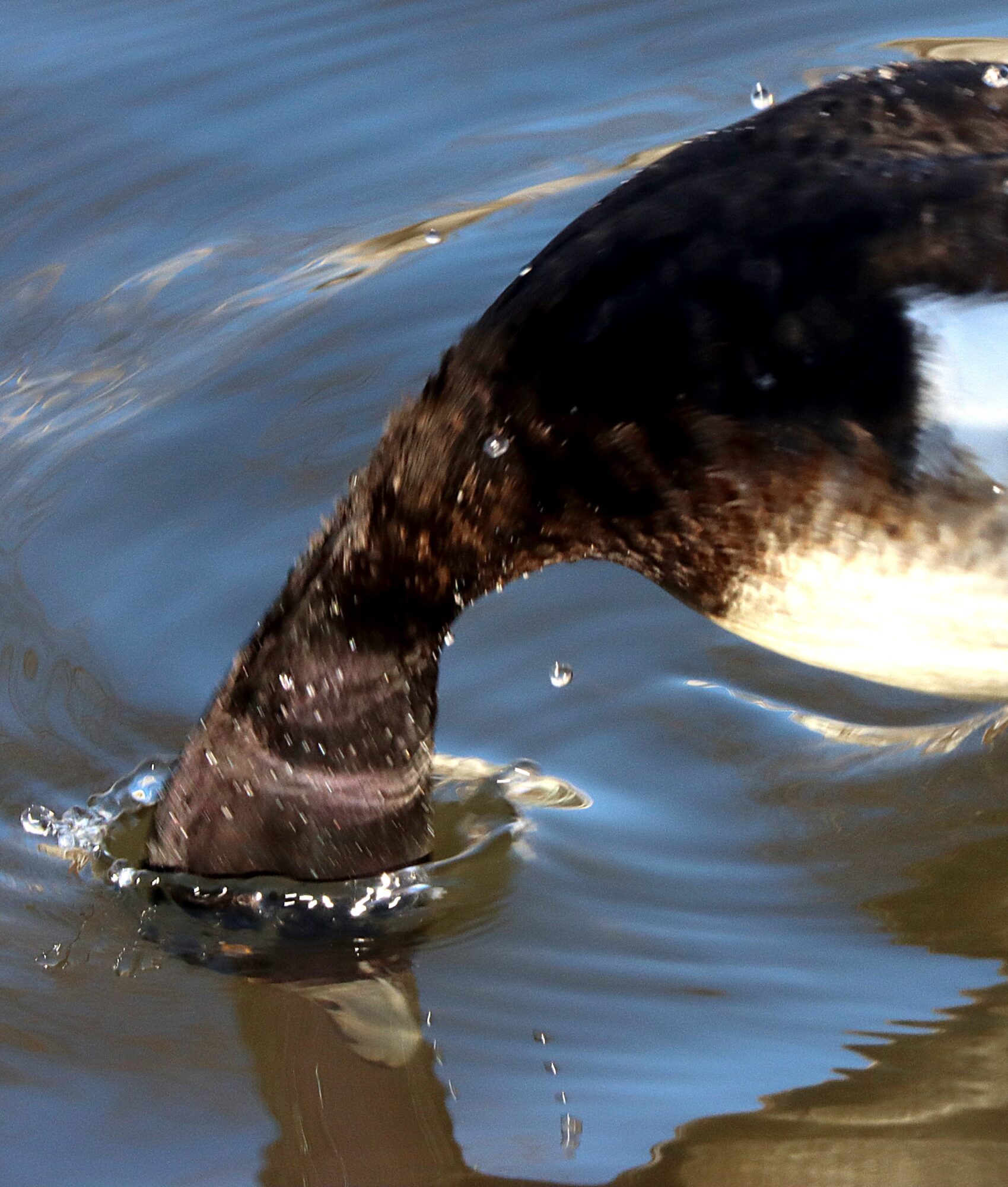 Valokuvaaja: Irja Lehtinen