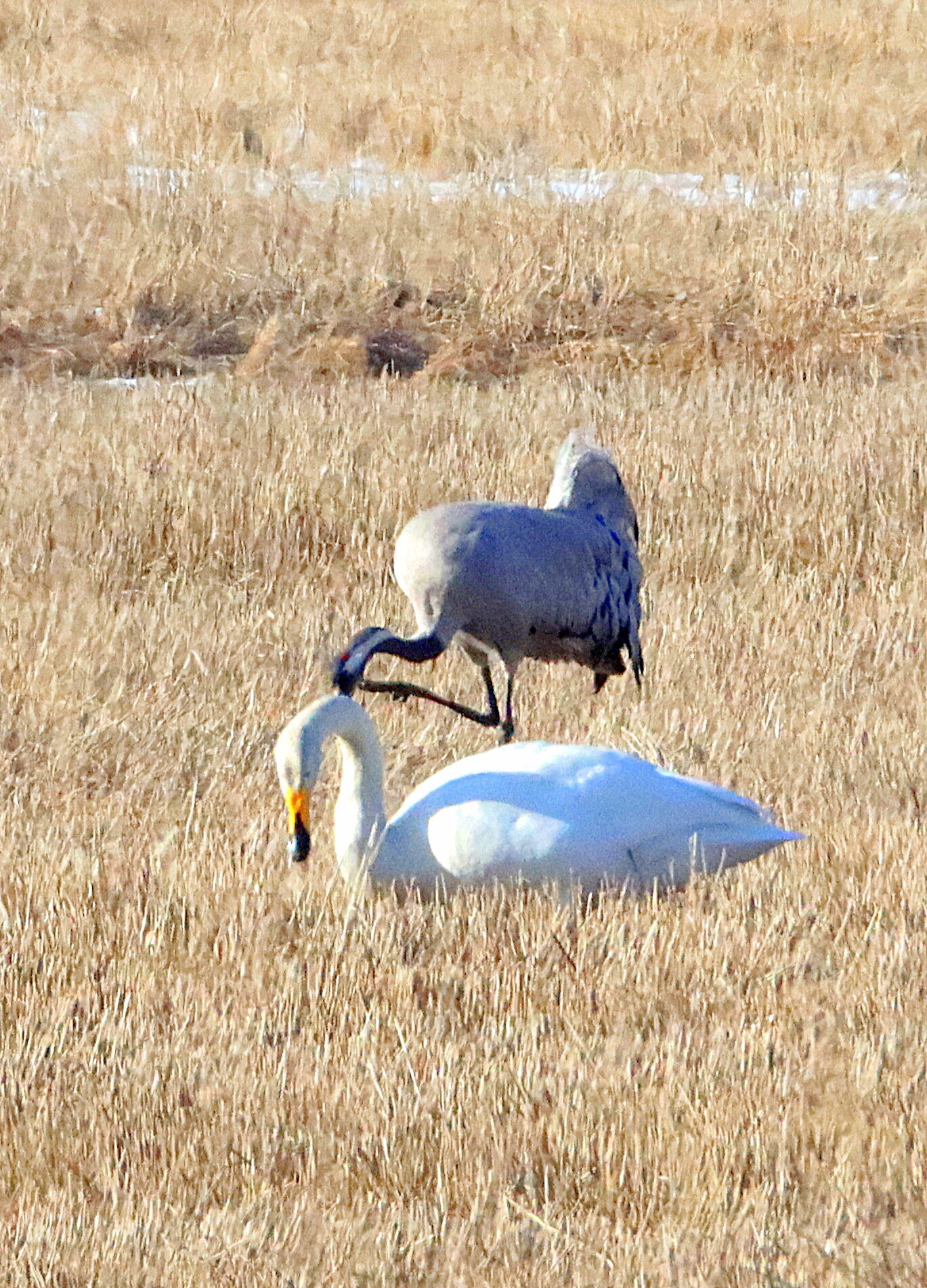 Valokuvaaja: Irja Lehtinen