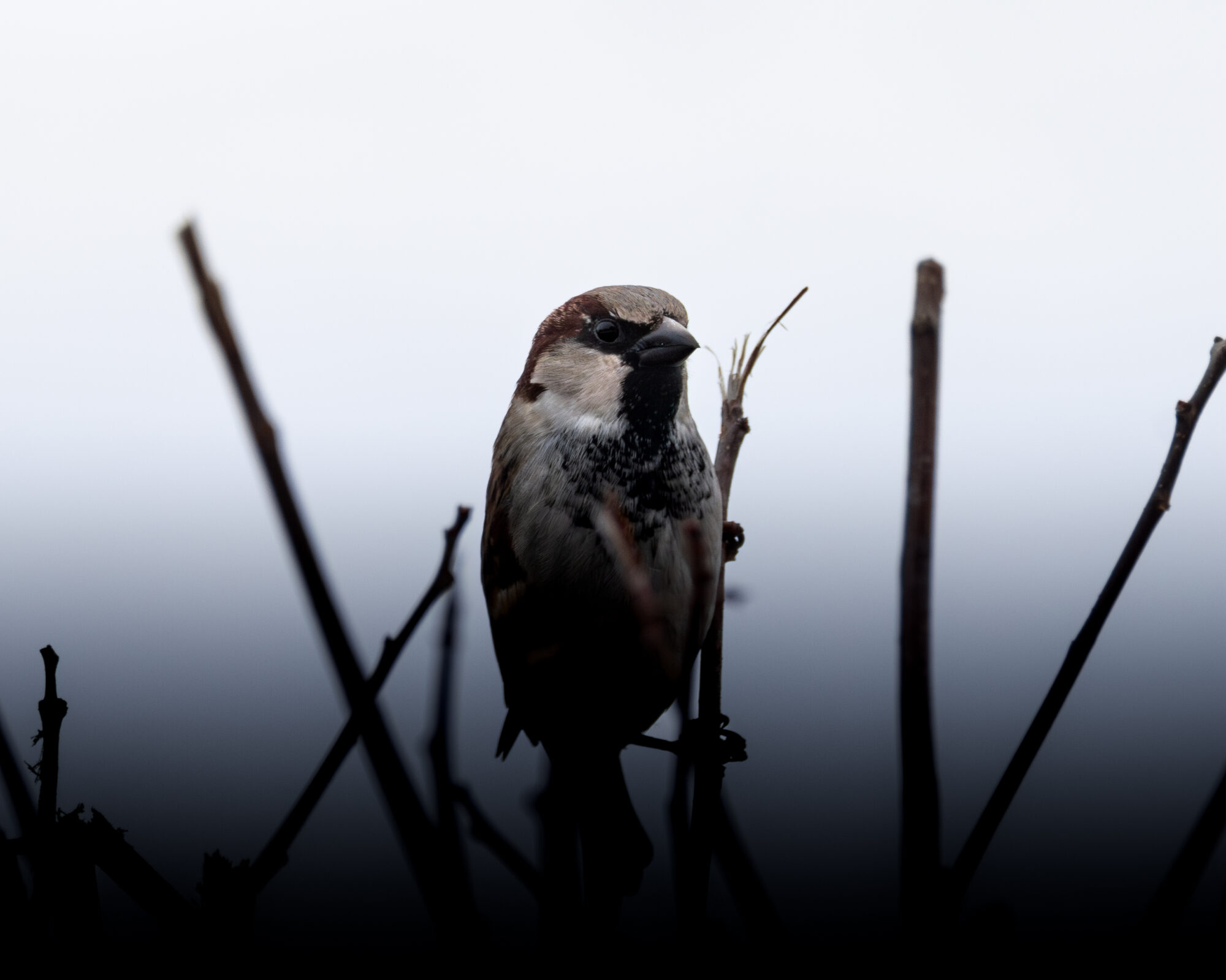 Valokuvaaja: Leevi Halme