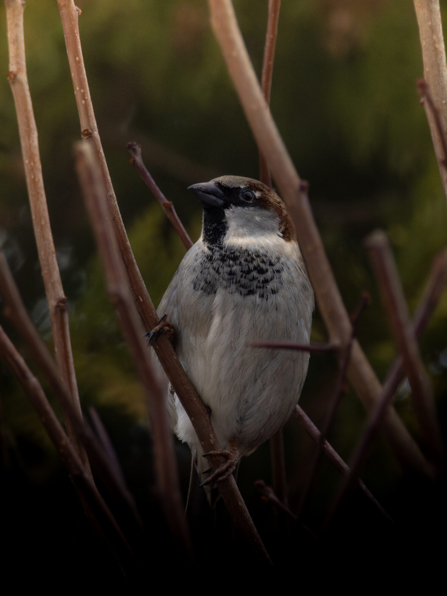 Valokuvaaja: Leevi Halme