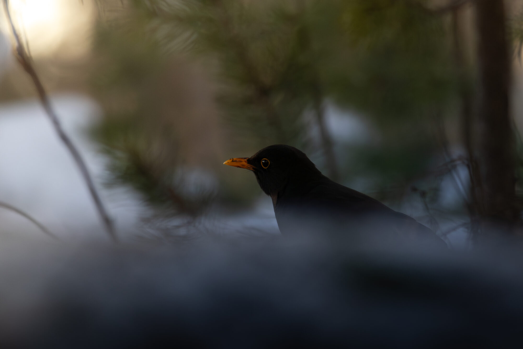 Valokuvaaja: Leevi Halme