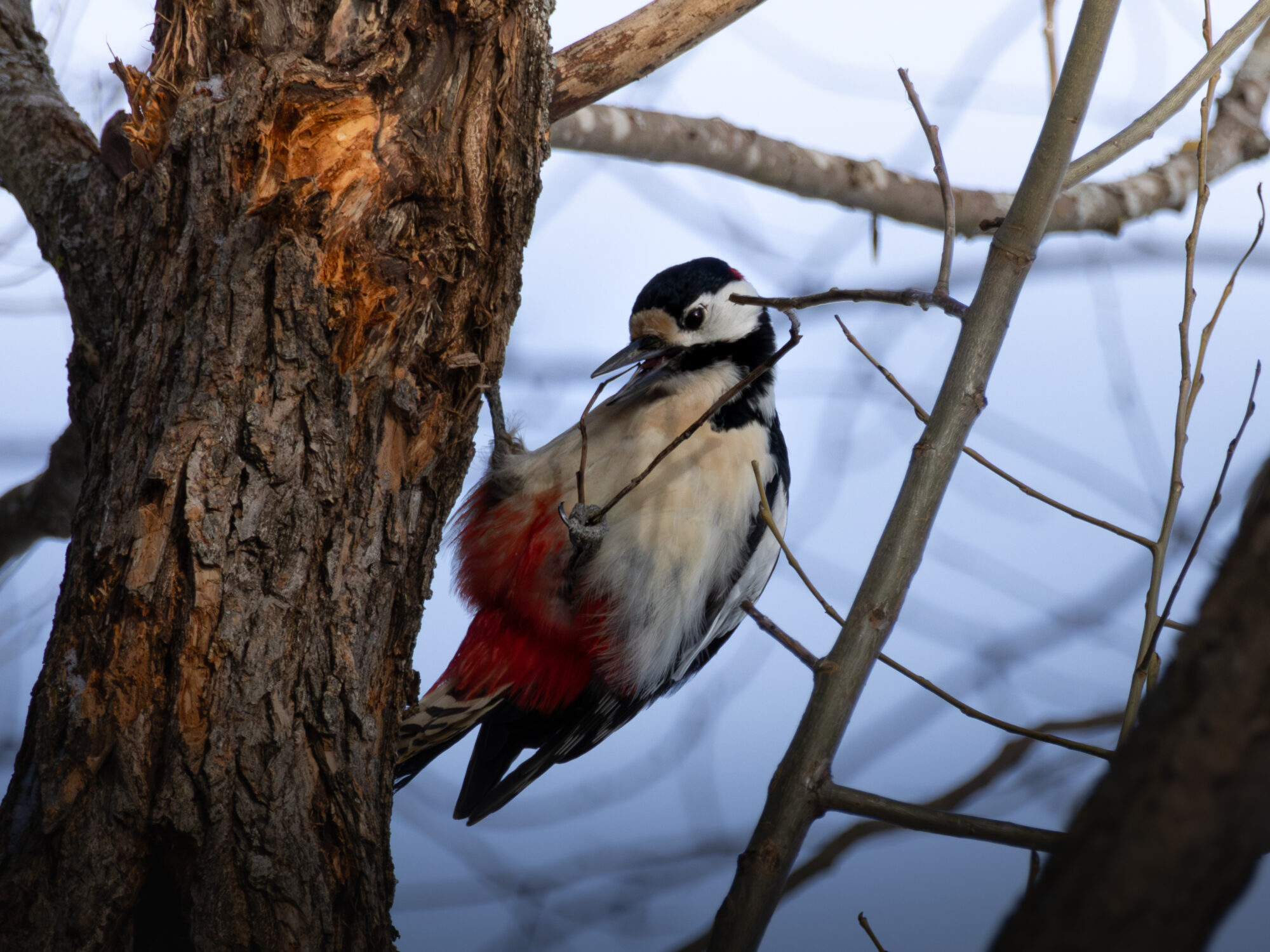 Valokuvaaja: Leevi Halme